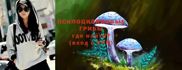 apvp Армянск