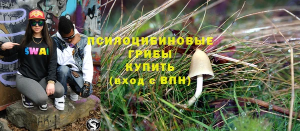 apvp Армянск