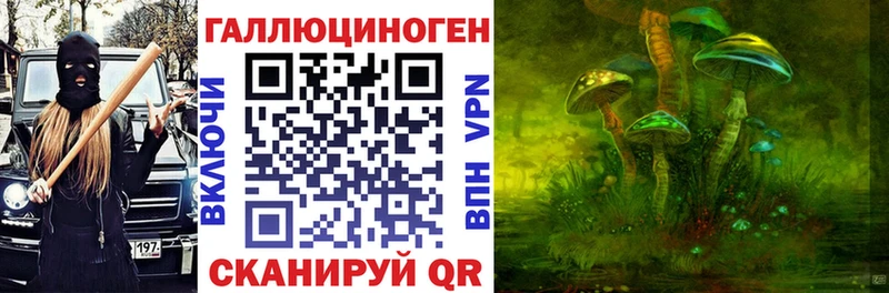 Псилоцибиновые грибы GOLDEN TEACHER  купить наркотик  Новороссийск 